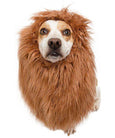 Big dogs lion mane costume