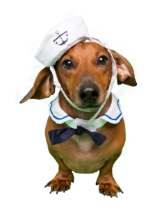 Sailor Small Dog Costume –– Perfect for Stocking Stuffer