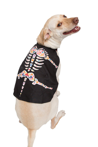Day of the Dead dog costume
