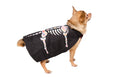 Day of the Dead small dog costumes