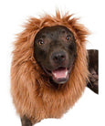 Big dog lion mane costumes