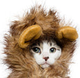 cat lion mane costume for cats