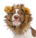 Dog Lion Mane Costume