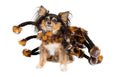 Scary Spider Dog Costumes