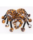 Spider Dog Costumes